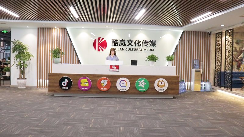 宣传片制作：揭秘报价背后的秘密**
